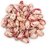 cranberry cranberry