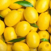 Fresh yellow lemon Fresh yellow lemon