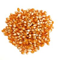 mix legumes isolated on white background. Top view. Flat lay mix legumes isolated on white background. Top view. Flat lay